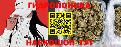 прущие крисы Дубна
