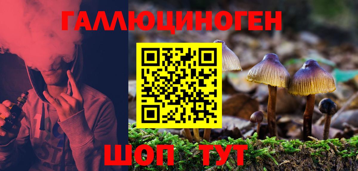 Галлюциногенные грибы мицелий Назрань