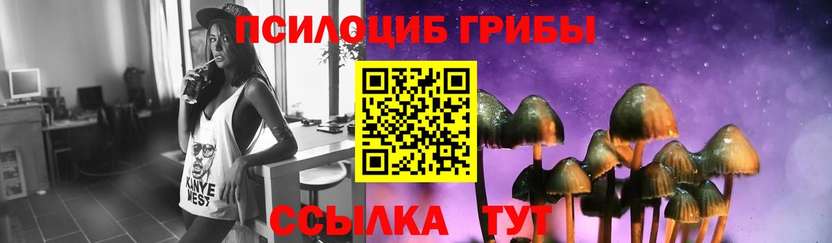 Назрань  Галлюциногенные грибы MAGIC MUSHROOMS  Вход с VPN 