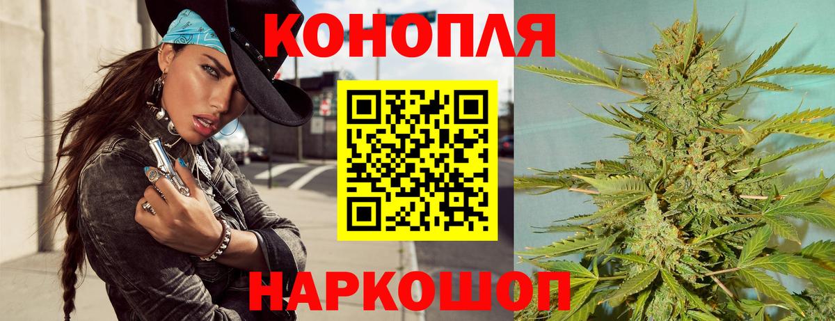 Конопля тримм  МАРИХУАНА план  Бошки марихуана THC 21%  Вход с VPN  Назрань 